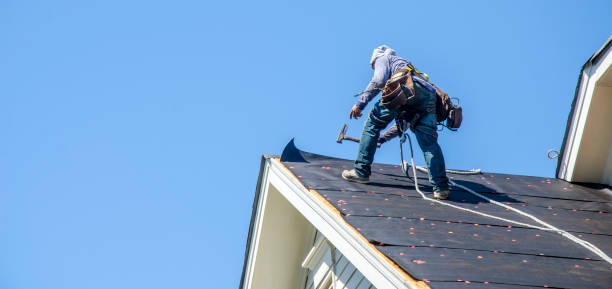 Roof Gutter Cleaning in Lebanon, KY